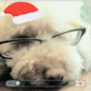 Meet your Posher, Theone